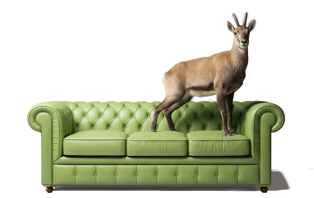 Andorra — Productes únics de botigues locals